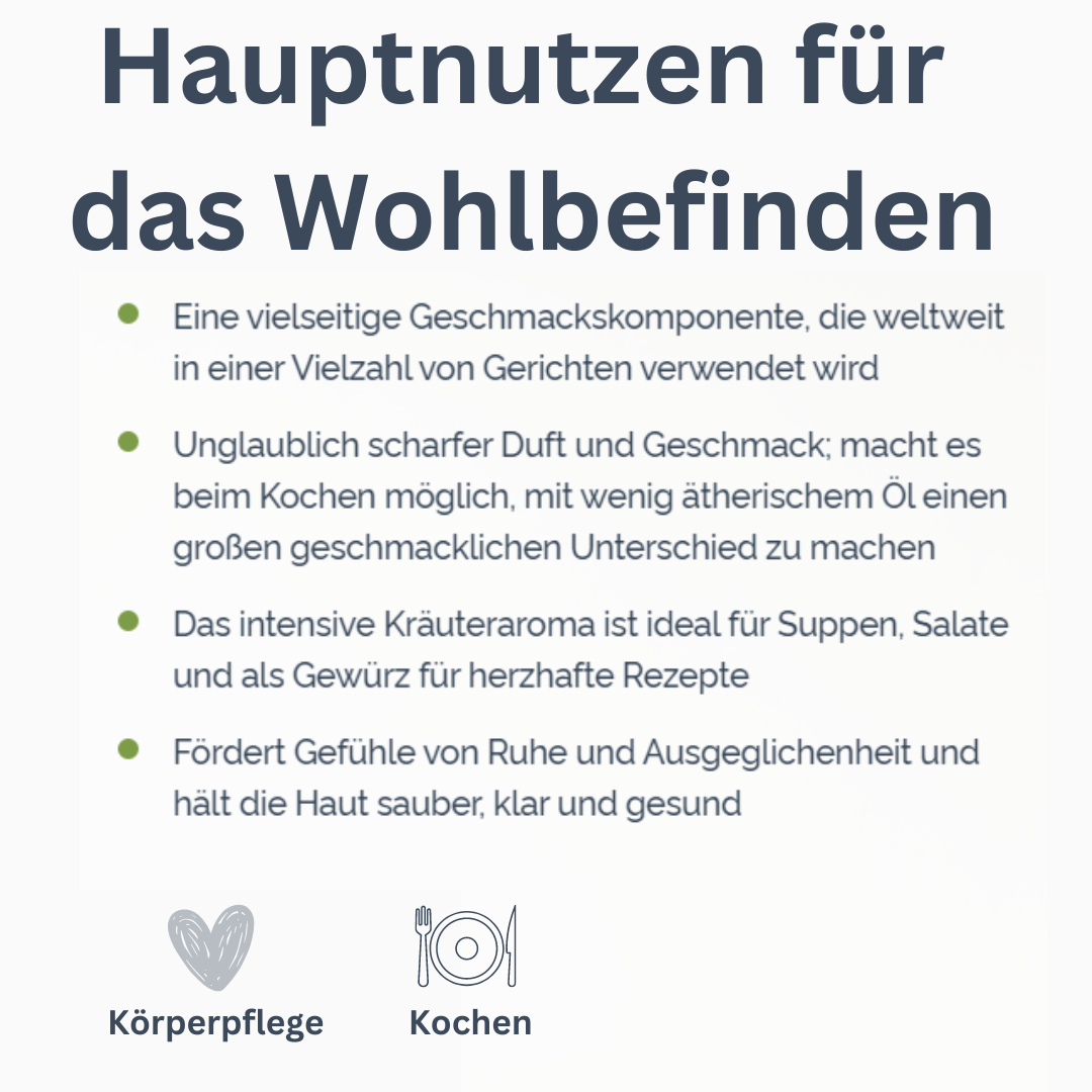 Pures Basilikumöl von doTERRA – Ocimum basilicum – Basil – Bild 2